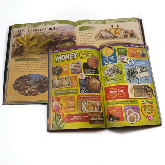 Coffee Table Bundle Of Learning Books - Picture 4 of 8